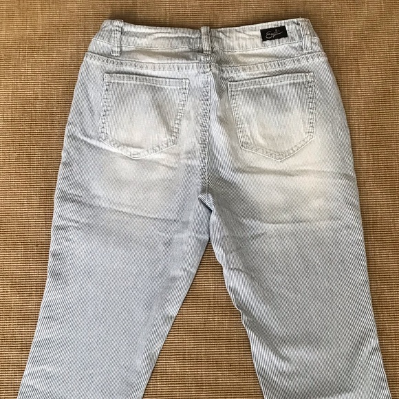 Earl Jeans Skinny Ankle Jeans - Picture 6 of 7